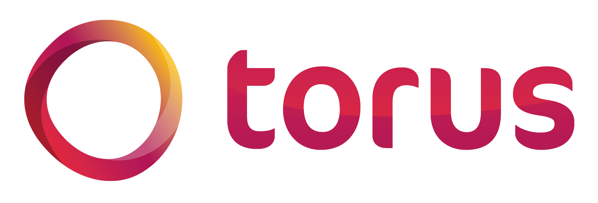 Torus Logo.png