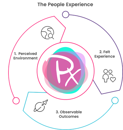 The People Experience framework